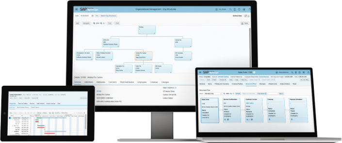 sap-business-bydesign-device-prjmgmt.png.adapt.800_400.false.false.false.true